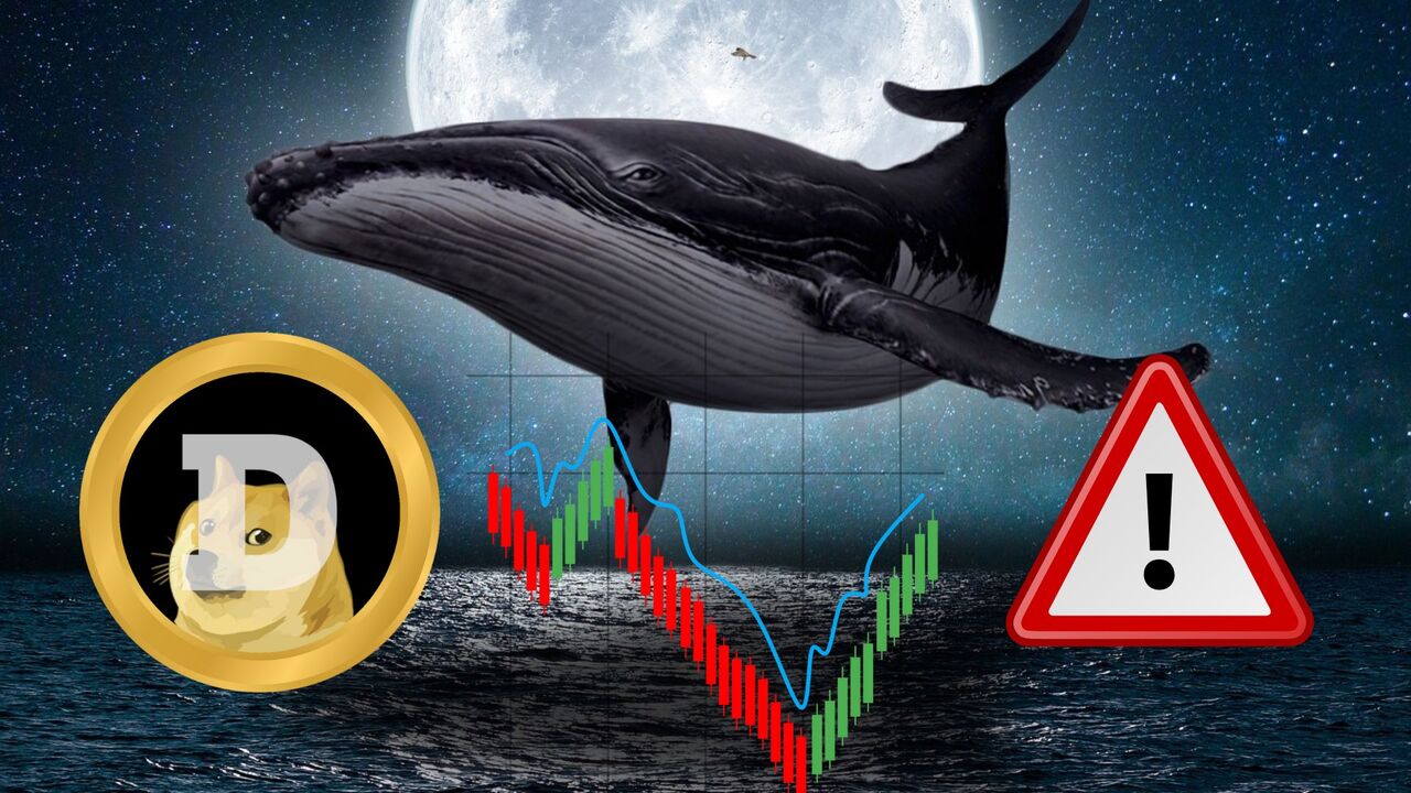 Koniec pompy na Dogecoin? Wieloryb zrzucił ogromną ilość DOGE na giełdę