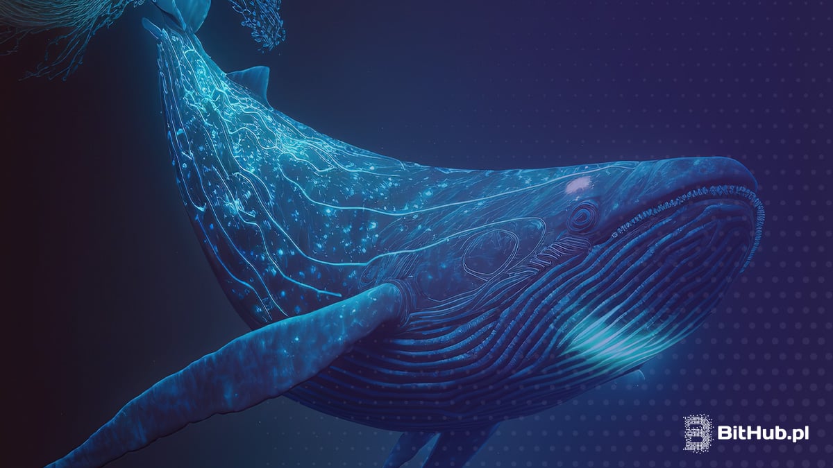 Bitcoin spada? Wieloryby masowo skupują kryptowaluty alternatywne. Oto ich pełna lista