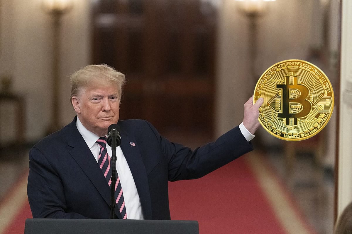 Wybory 2024 w USA zadecydują gdzie pójdzie Bitcoin: czym jest „Trump trade” i „efekt Harris”? Zapytaliśmy eksperta