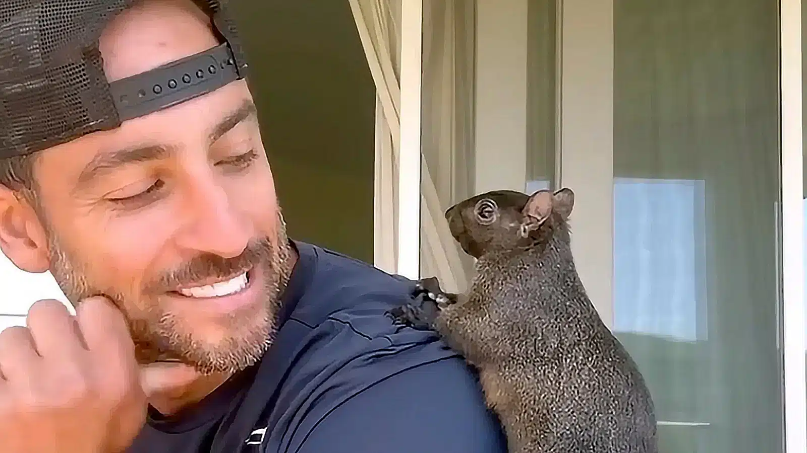 O co chodzi z wiewiórką Peanut? Solana przeżywa dzięki niej prawdziwy szał memecoinów!