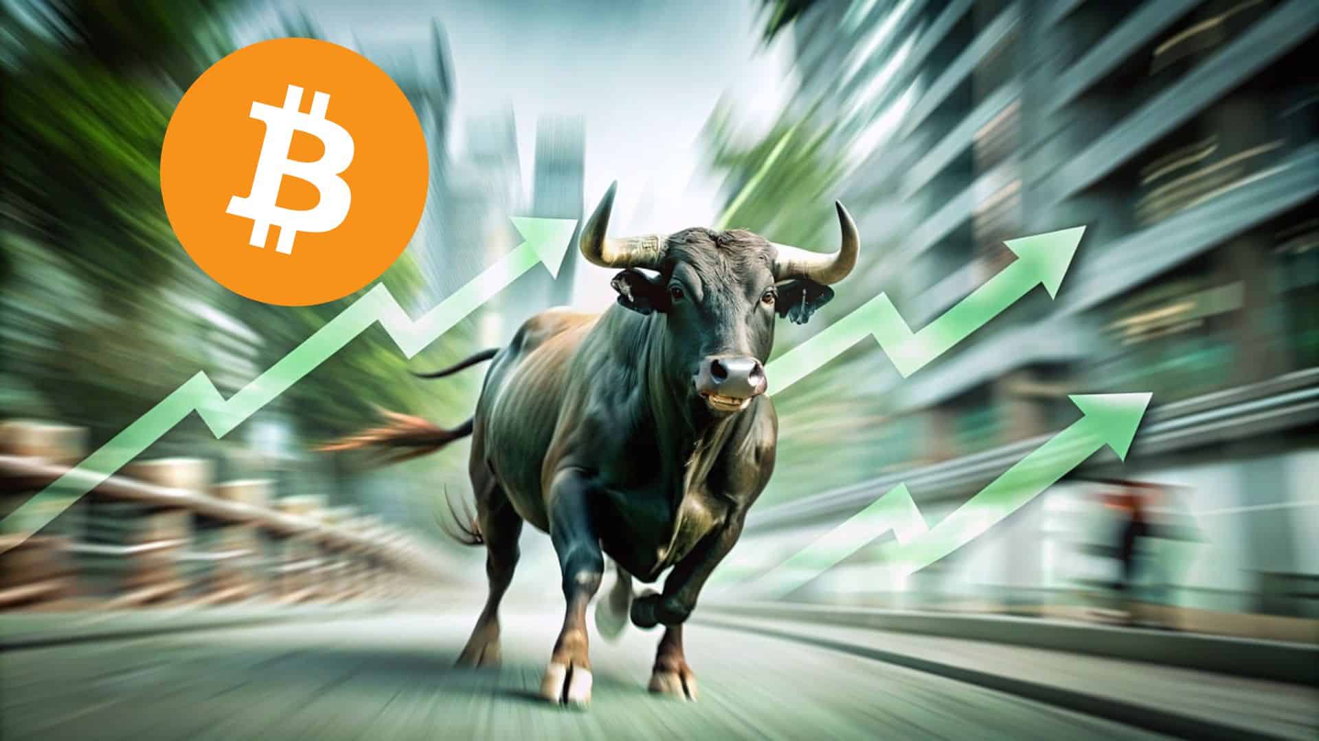 Weekendowa euforia rynku kryptowalut, cena Bitcoina sięga 80 tys. USD. To dopiero początek?