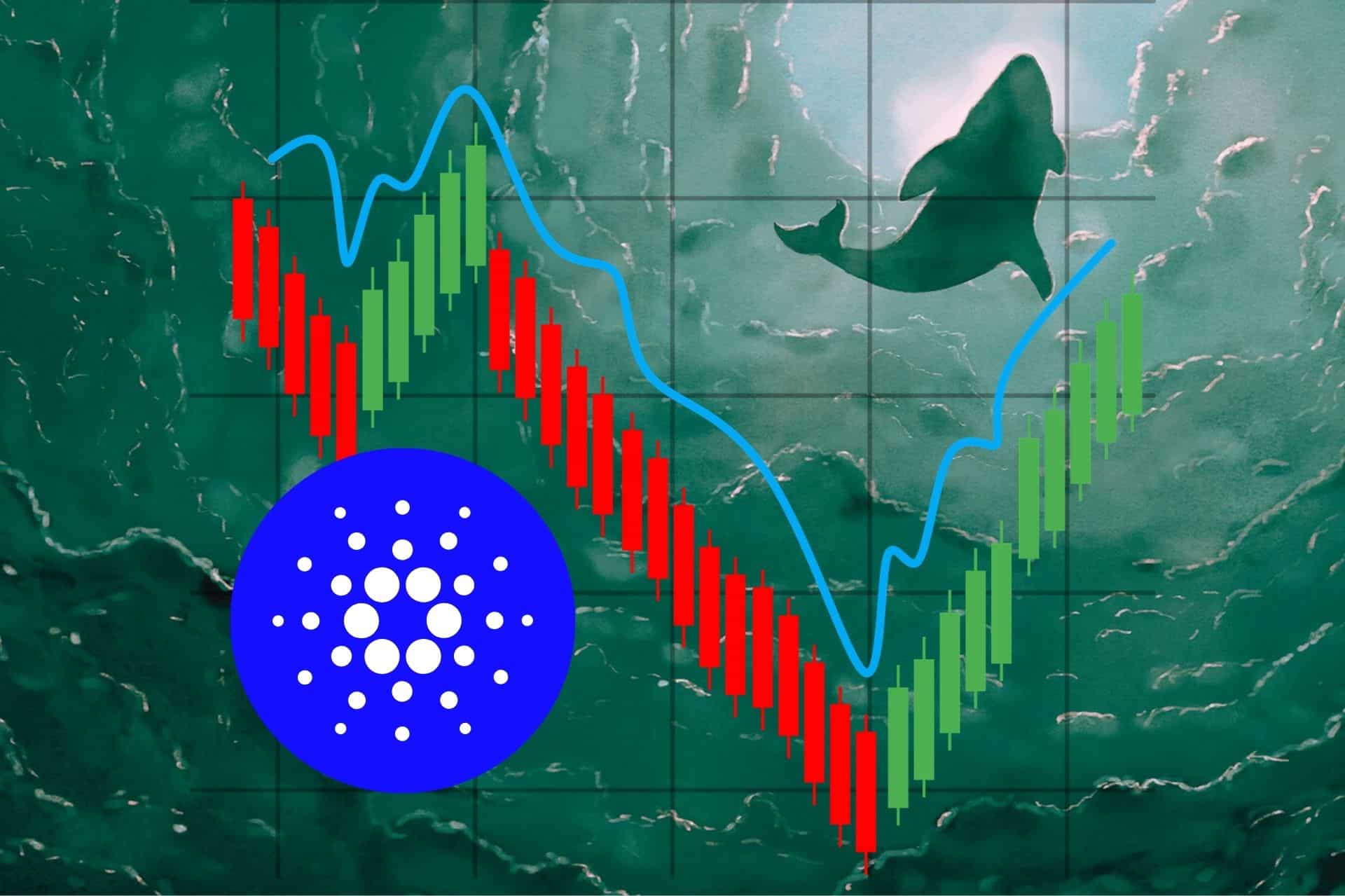 Ten altcoin jest na celowniku wielorybów. W dwa dni wchłonęły z rynku 20 mln sztuk