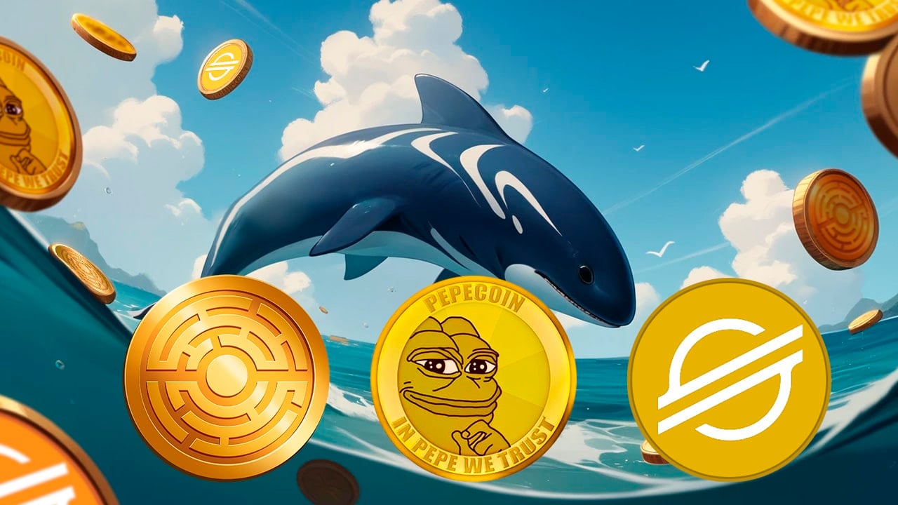 Rośnie zainteresowanie wielorybów dla PEPE i XLM – przedsprzedaż zyskuje na popularności dzięki prognozom wzrostu 300%+!