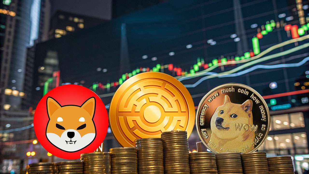 Odbicie na rynku: Dogecoin i Shiba Inu gotowe na ogromne wzrosty, a nowa moneta zbliża się do 1,5 mln w przedsprzedaży