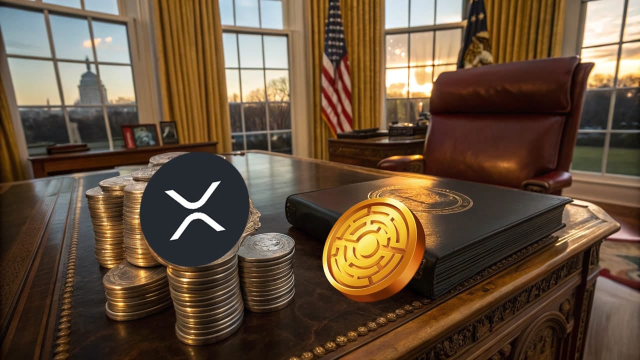 Donald Trump rozważa utworzenie rezerw kryptowaluty opartych na XRP — Czy XRP wzrośnie do 10$?