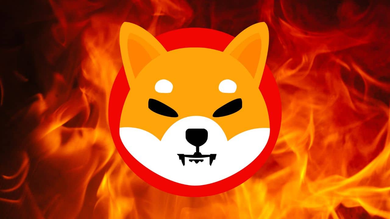 Shiba Inu płonie! Co stanie się z tokenami SHIB?
