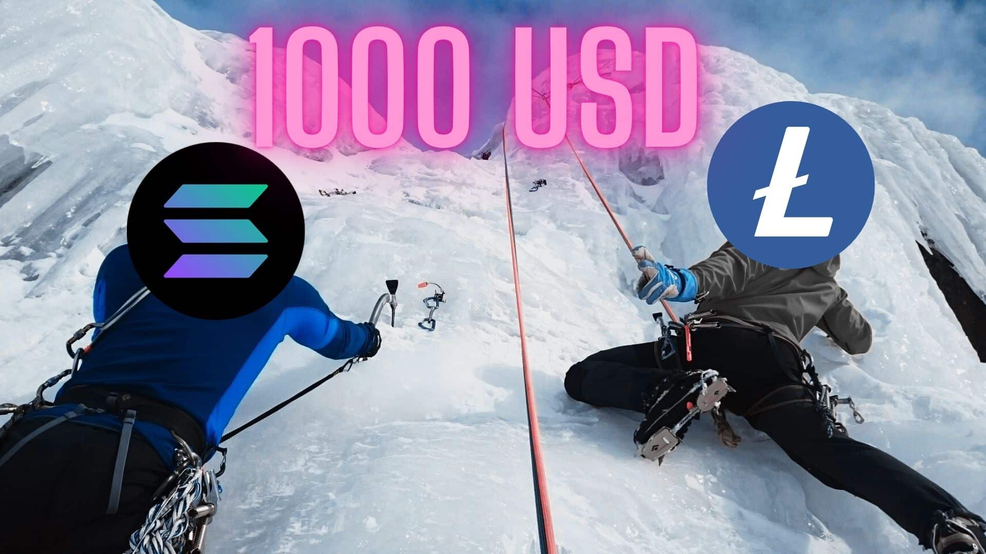 Ten altcoin może osiągnąć 1000 USD jako pierwszy. Przeskoczy Solanę?