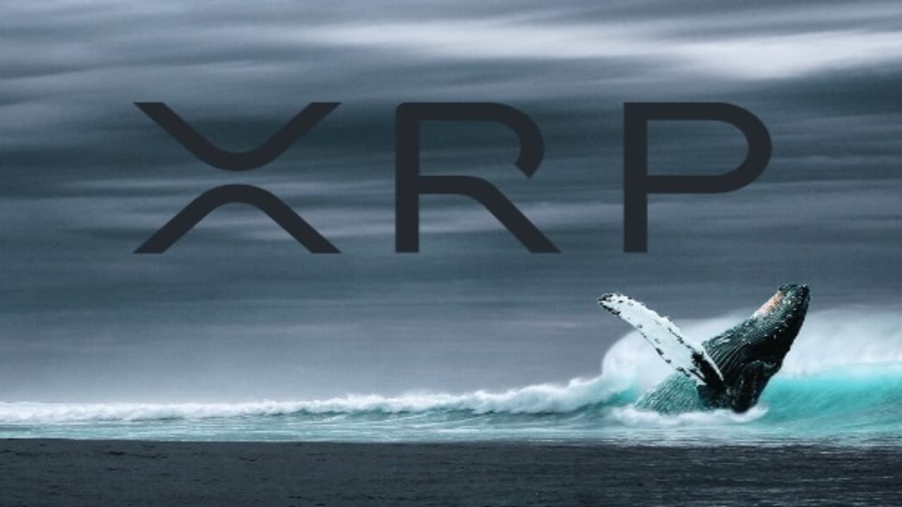 Wieloryby zatapiają XRP! Pozbyły się już 70 mln tokenów Ripple