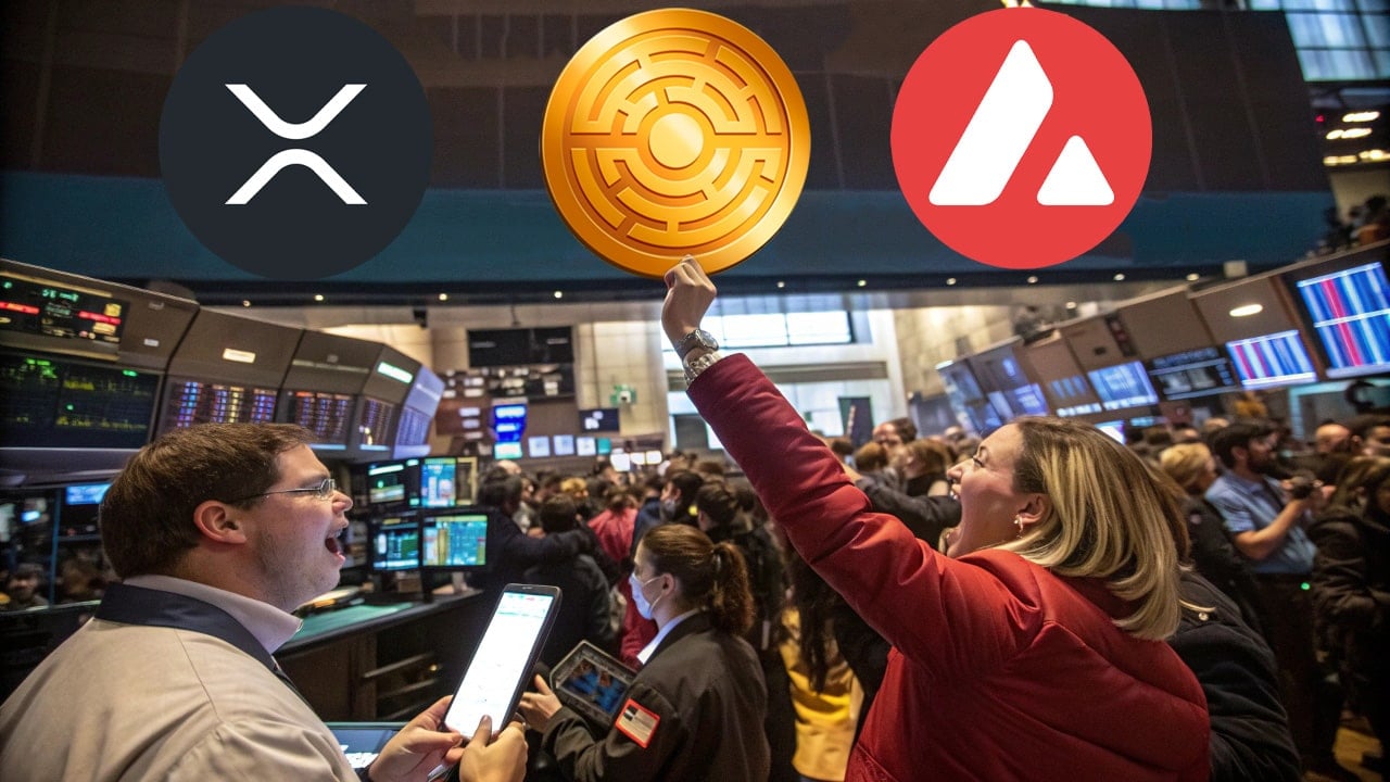 Bitcoin na poziomie 96 tys. USD — XRP, Avalanche i Minotaurus zyskują na popularności