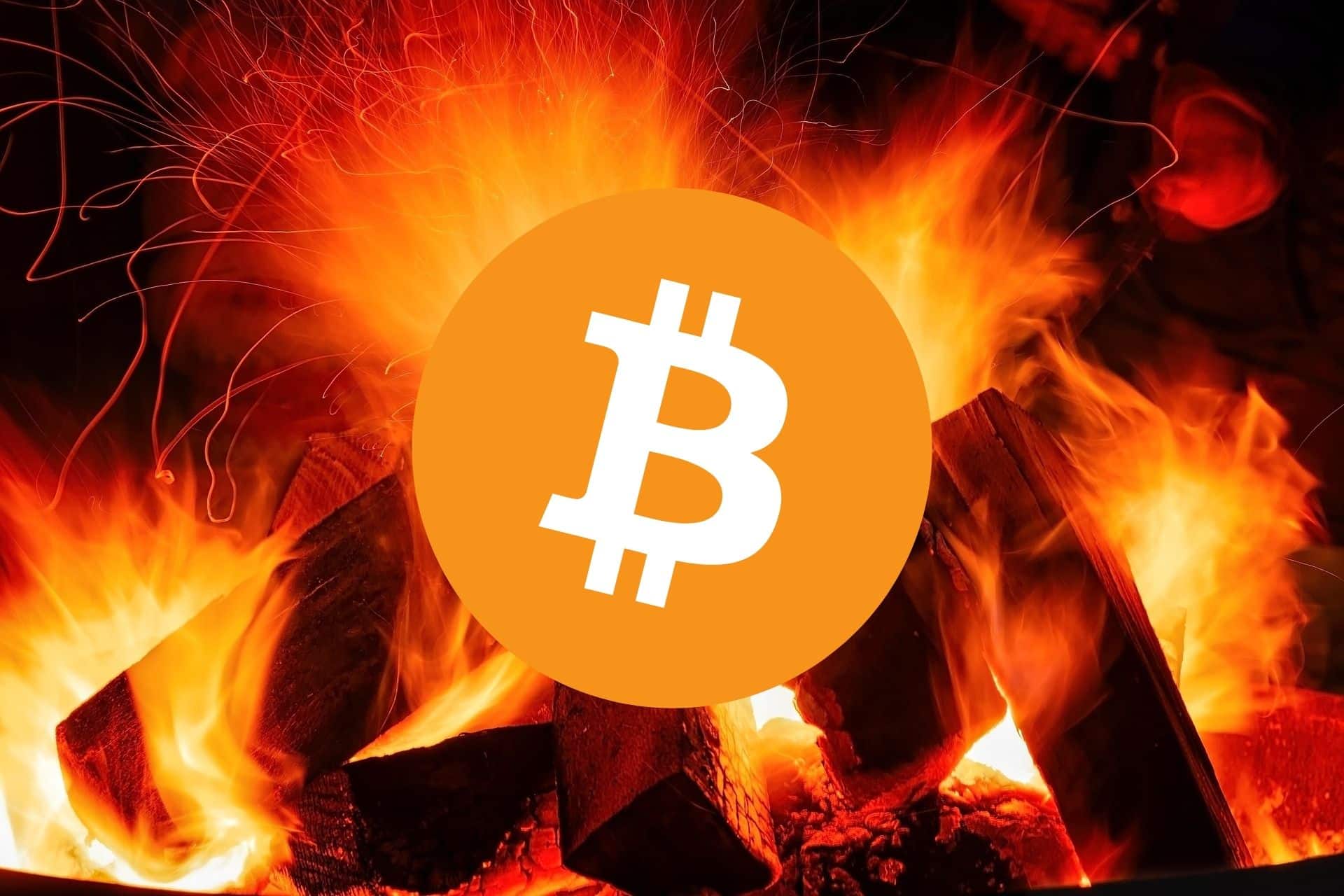 Ten token po cichu rozkłada BTC na łopatki? „Bitcoin jest ugotowany”. Przepaść rośnie