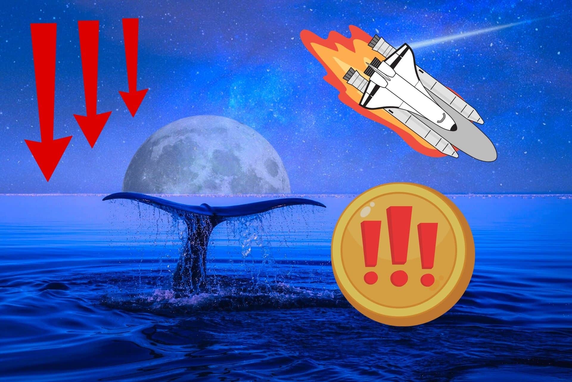 Uważaj na ten token! Wieloryby od tygodnia realizują zyski i zrzucają na rynek prawie 80 mln sztuk tej kryptowaluty