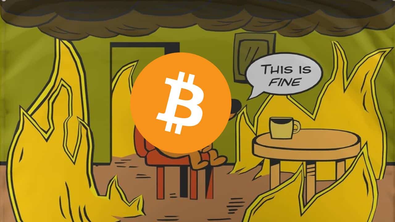 Bitcoin i krypto topnieją, a ekspert szaleje. „Do cholery, po prostu bądźcie cierpliwi!”