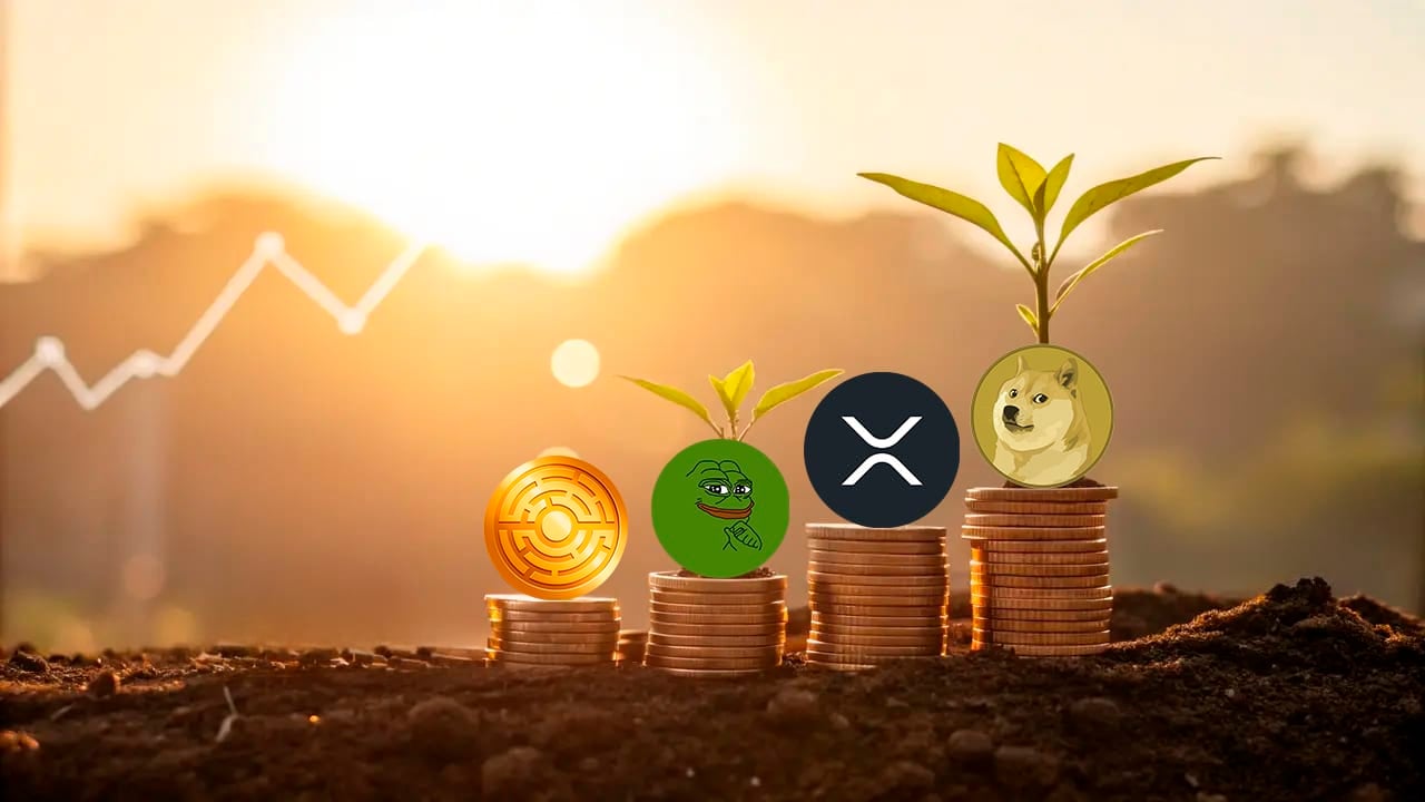 Masz 100 USDT? Te monety mogą gwałtownie pomnożyć tę kwotę do 1000 USDT jeszcze w tym miesiącu!