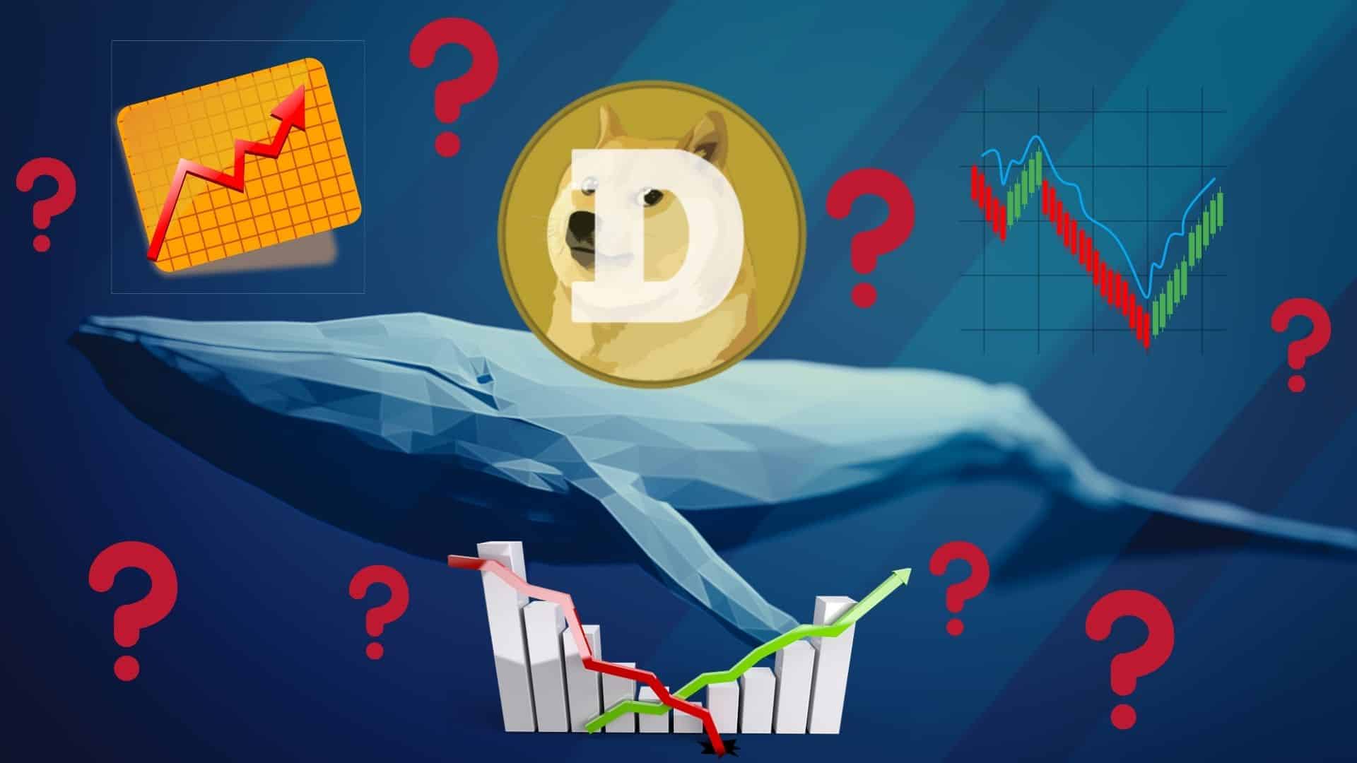 DOGE wpadł w objęcia dużych posiadaczy. To może być ostatni dzwonek