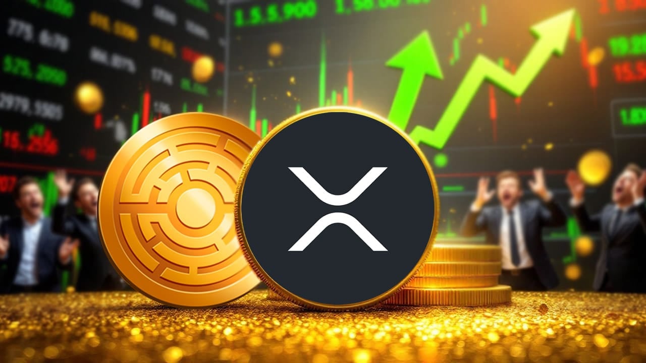 Ekspert sugeruje, iż trzymanie 1000 XRP może być ruchem, który przyniesie sukces