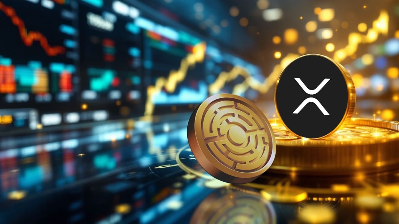 Konsultant biznesowy wyjaśnia, w jaki sposób cena XRP może wzrosnąć ze 100 dolarów do czterocyfrowej kwoty