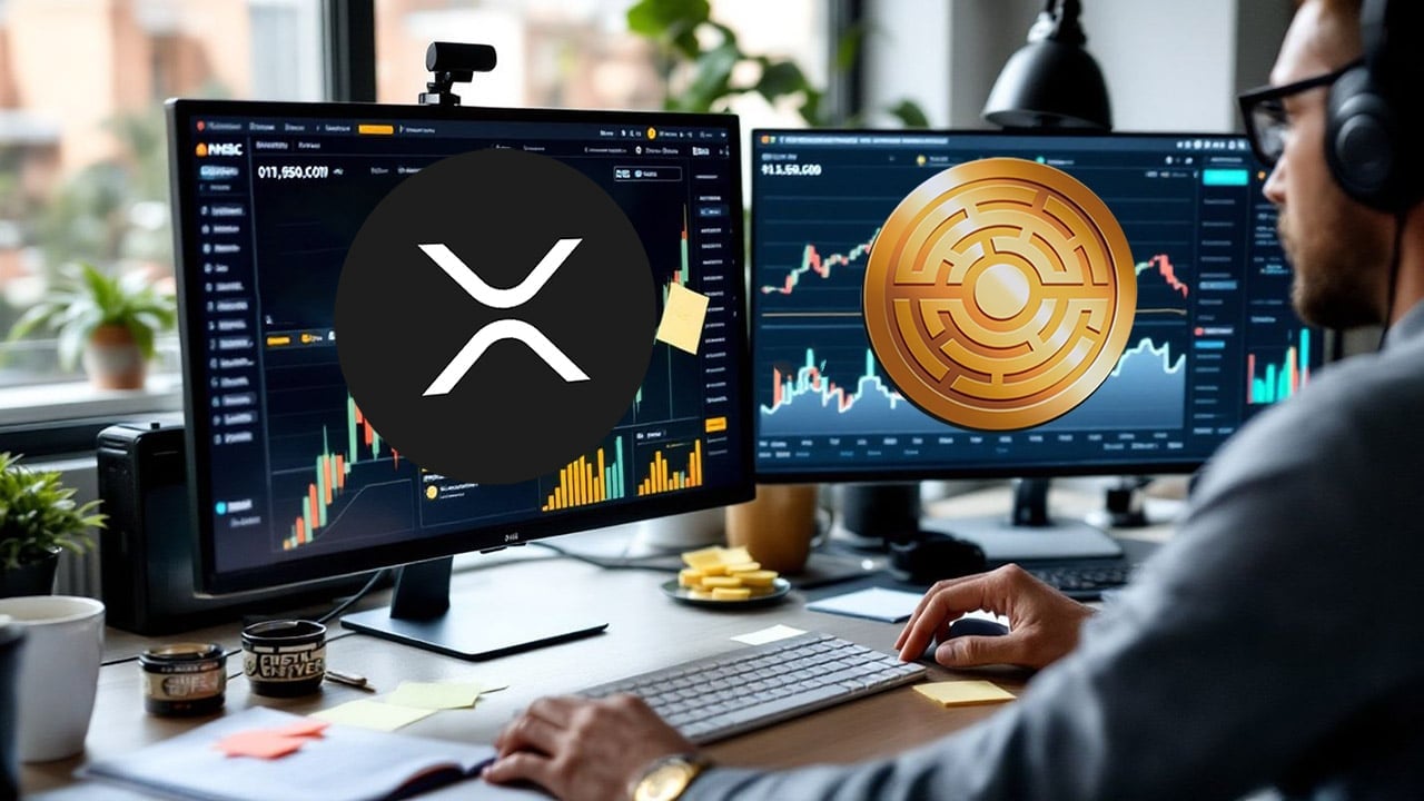 Ekspert dzieli się wiedzą, jak zarobić i utrzymać 1 000 000 dolarów w XRP, nie popadając w bankructwo