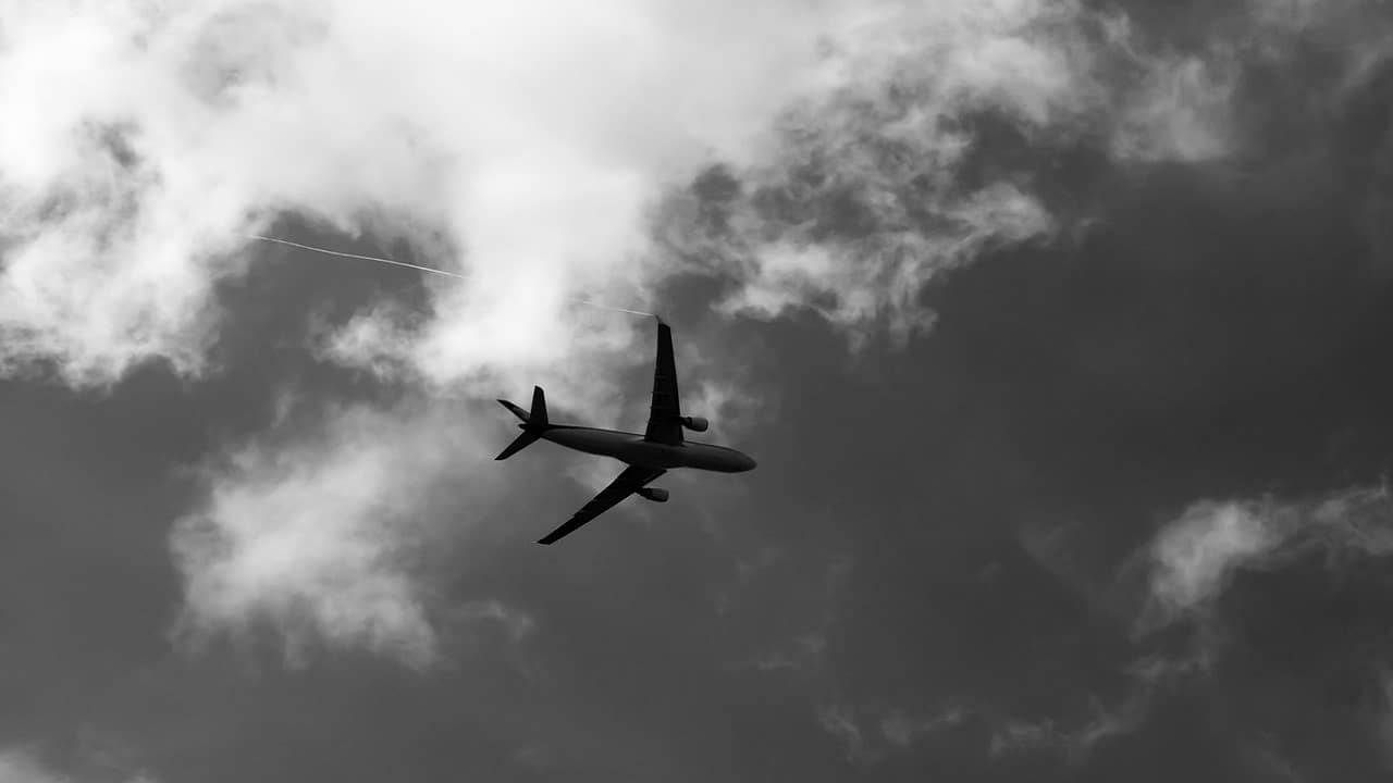 Skutki polityki DEI: nie będzie ugody za śmierć setek ludzi