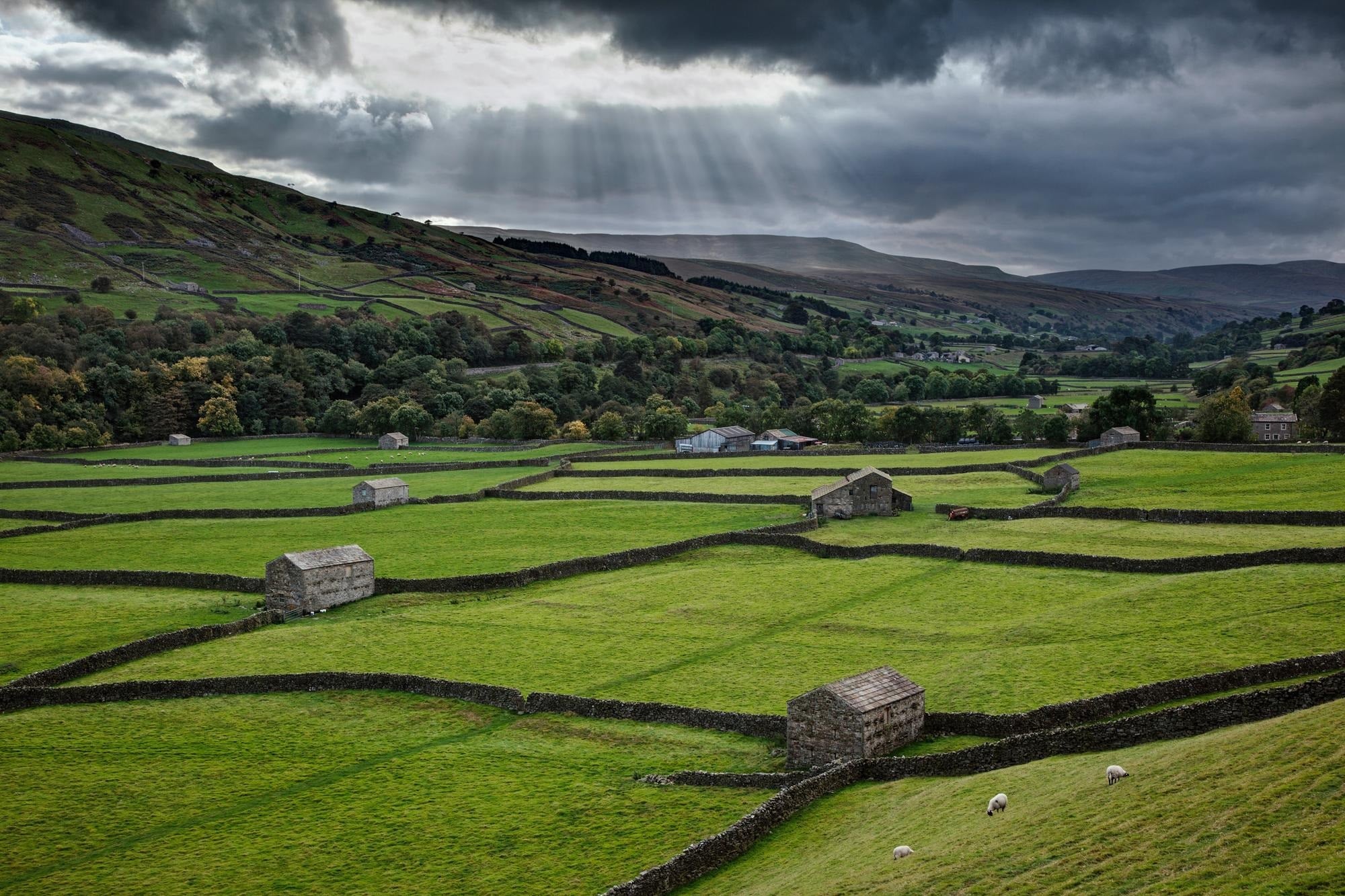 Koniec prywatnego rolnictwa? Wywłaszczenia ziemi poprzez absurdalny podatek od spadku, rząd broni pomysłu
