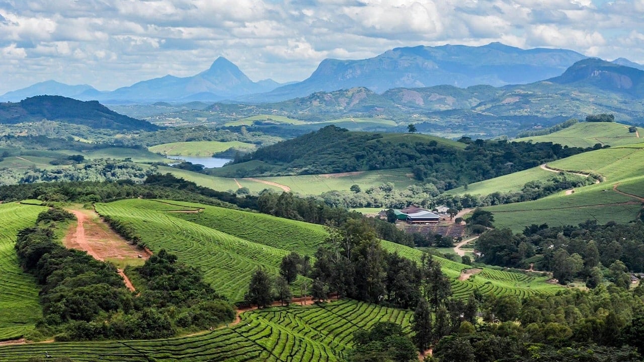 Wartość ziemi do zwrotu – po dekadach. Początek wypłat