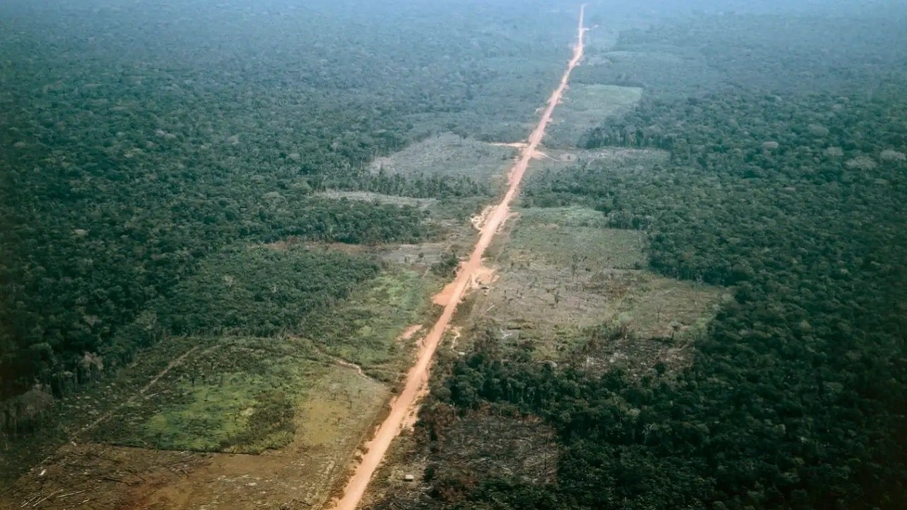 Autostrada przez chronioną dżunglę – żeby obsłużyć „szczyt klimatyczny”. Polityka ekologiczna w praktyce