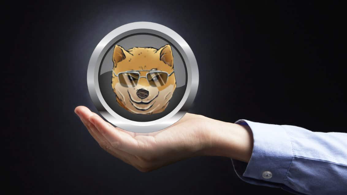 Zapomnij o FLOKI i BONK: Ten niedowartościowany memecoin jest gotowy na wybuch przed końcem 2024 roku