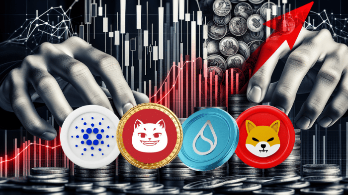 Liderzy rynku czy przemijające trendy? Analiza techniczna ADA, SUI, SHIB i CATZILLA