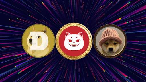 Alternatywy dla Dogecoin i WIF? Nowa kryptowaluta z potencjałem do przełomu