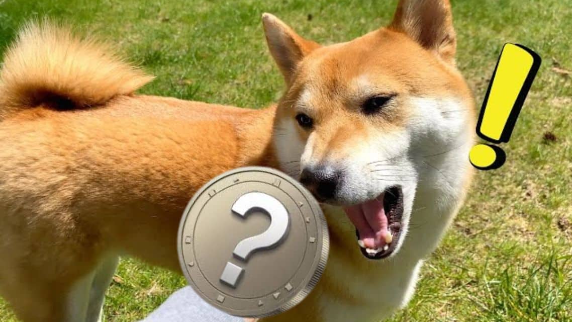 Trzy altcoiny prawdopodobnie przygotowują się do poprawienia sukcesów Shiba Inu z 2021 roku