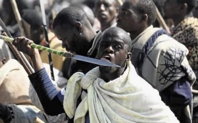 „Polska winna kolonializmu przeciw Afryce!”. Finansowana z podatków instytucja 'edukuje’