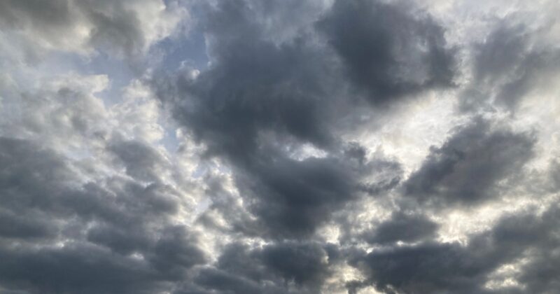 Toruń – 01.02.2025. Pogoda na dziś