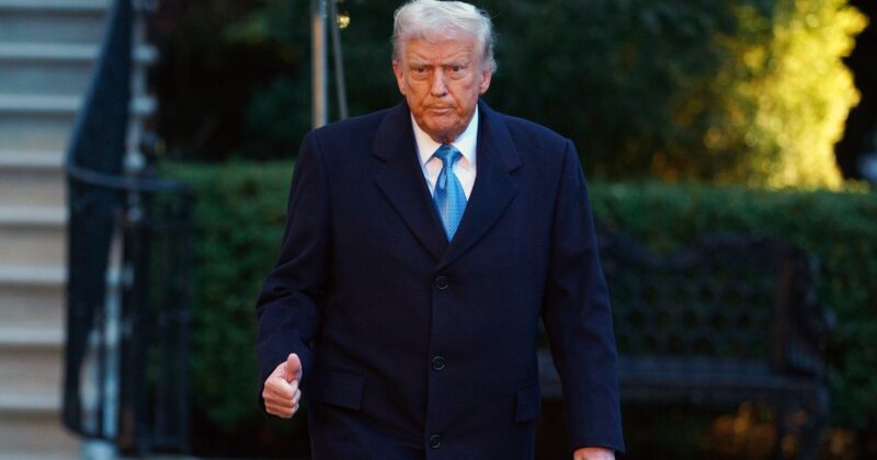 Donald Trump zarządził zmiany w USA. Zamiast „gender” będzie „sex”