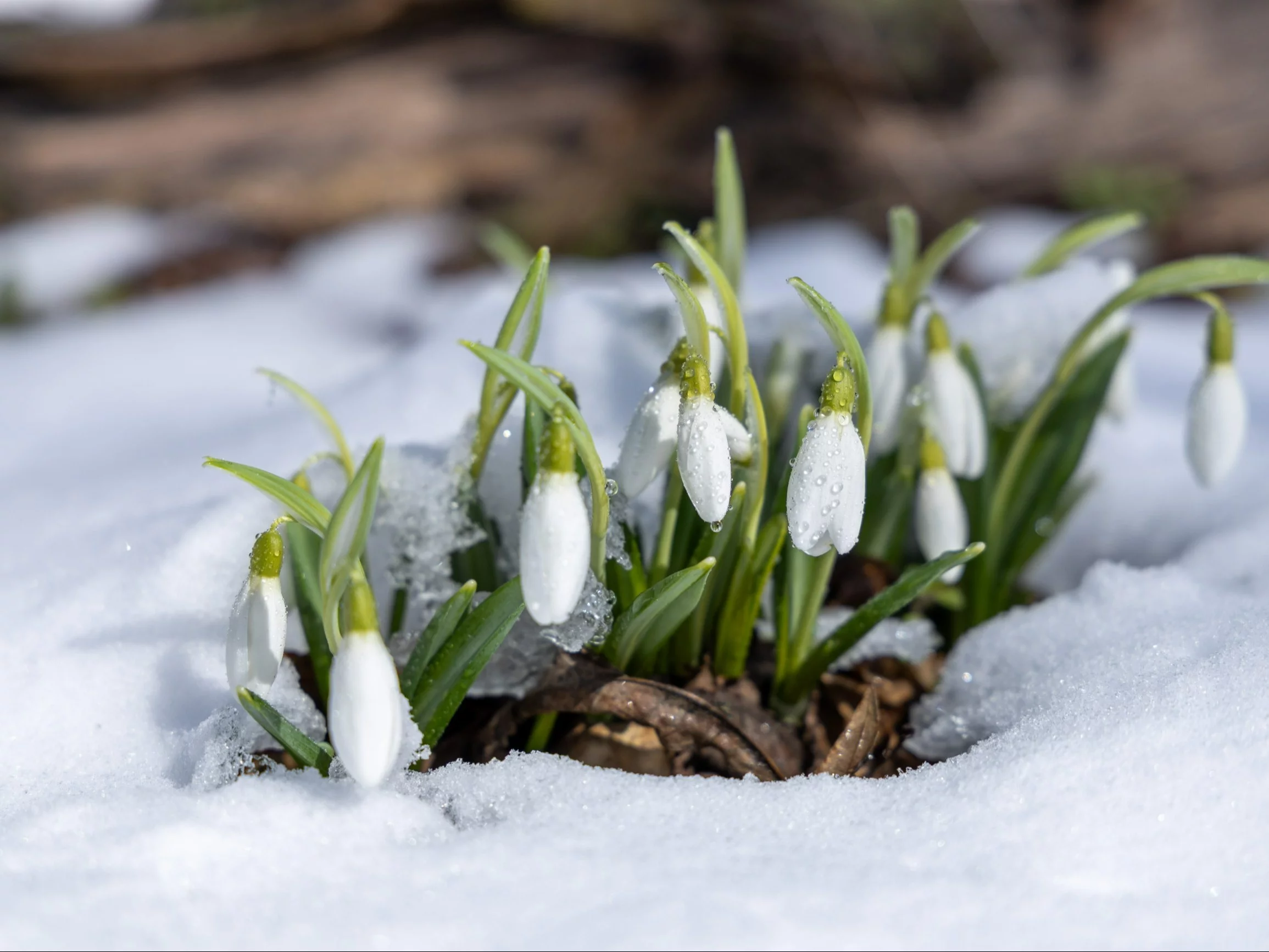 Prognozy na wiosnę nie zostawiają złudzeń. Eksperci mają złe wieści dla Polski