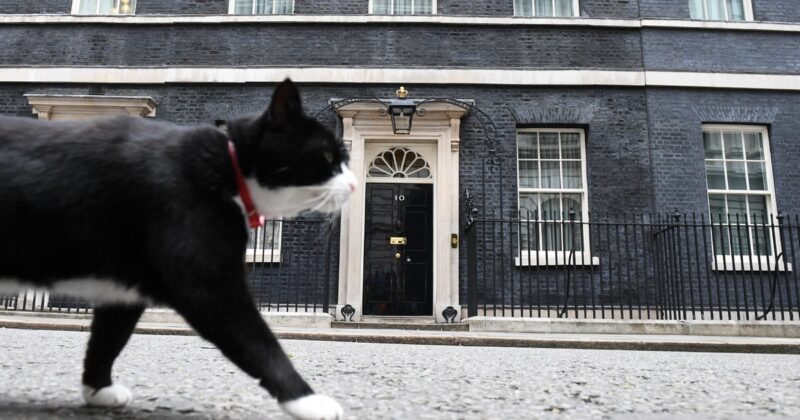 Główny „myszliwy” brytyjskiego MSZ z nową posadą. „Obejmie placówkę” na Bermudach