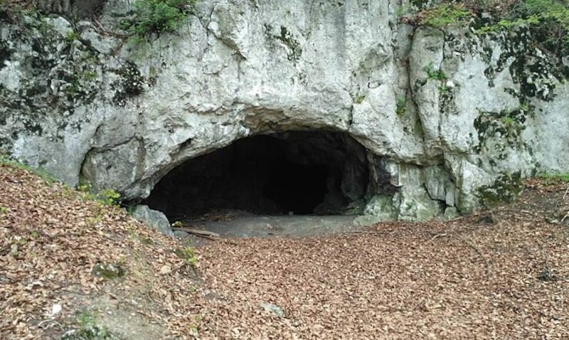 Uczta kanibali. W Jaskini Maszyckiej 18 tys. lat temu zjedzono 10 osób