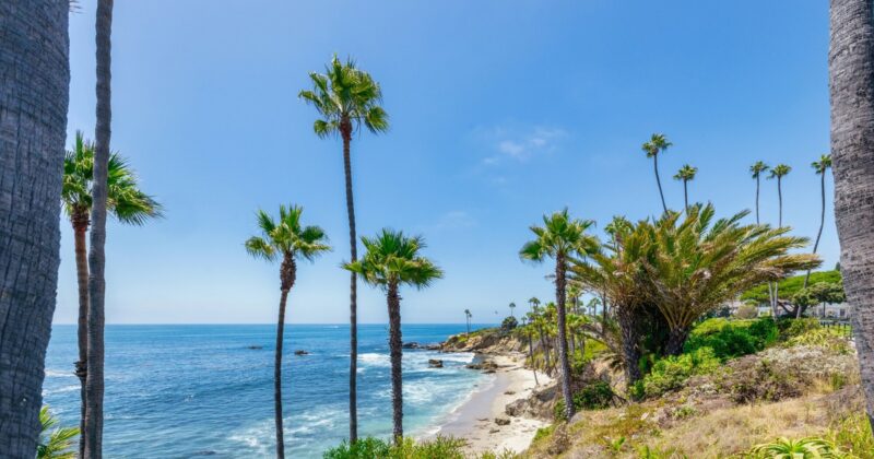 Duńczycy odpowiadają na groźby i kpią z Donalda Trumpa. „Kupmy Kalifornię”