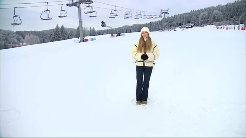 Miały być tylko banany. W skrzyni przyjechał jadowity intruz