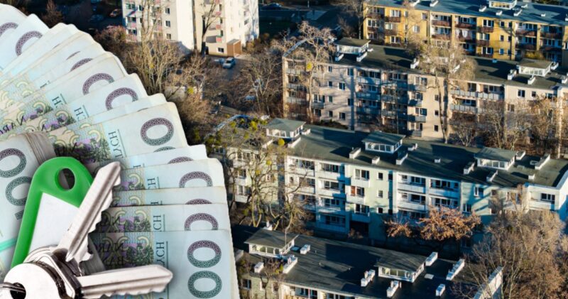 Zmuszeni – zadowoleni