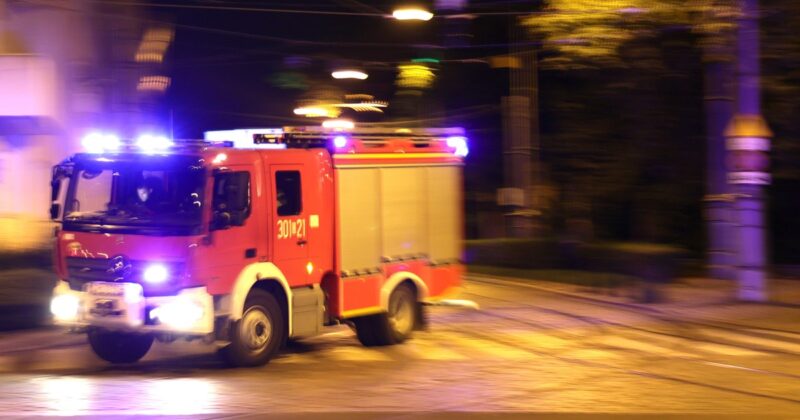 Pożar stajni pod Warszawą. 15 koni zginęło w ogniu