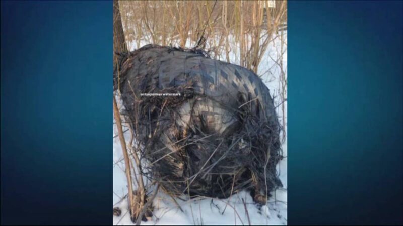Kolejny obiekt znaleziony w Wielkopolsce. „Niezły kawałek historii”