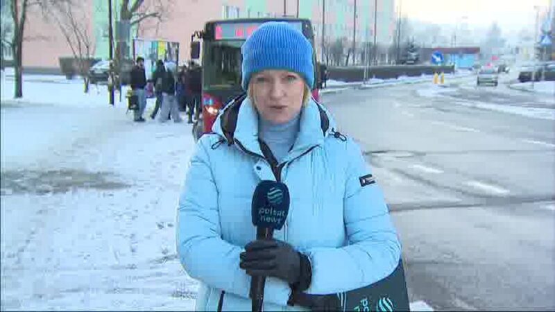 Karuzela lodowa wzbudziła kontrowersje. „Głupota ludzka”