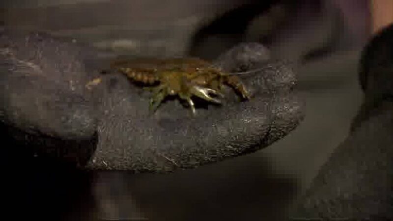 Spór o ambasadorów. Andrzej Duda: Współpracujemy z MSZ