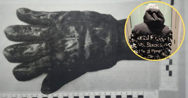 Policjanci z „Archiwum X” rozwiązali sprawę „gangstera z działek”. Wpadł przez rękawiczkę