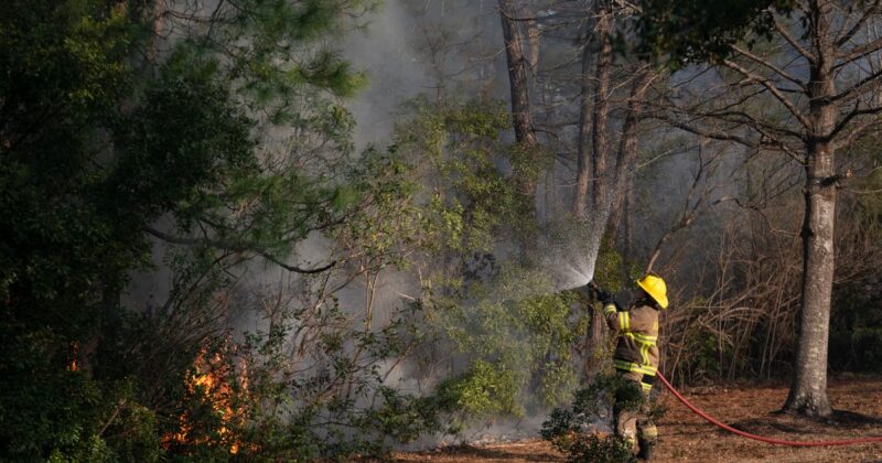 Pożary w Karolinie Południowej. Ogłoszono stan klęski żywiołowej