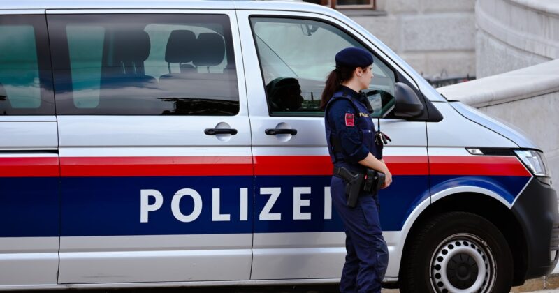 Paraliż na dworcu kolejowym w Wiedniu. Ustalenia policji