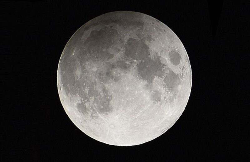 Blue Ghost bezpiecznie wylądował na Księżycu