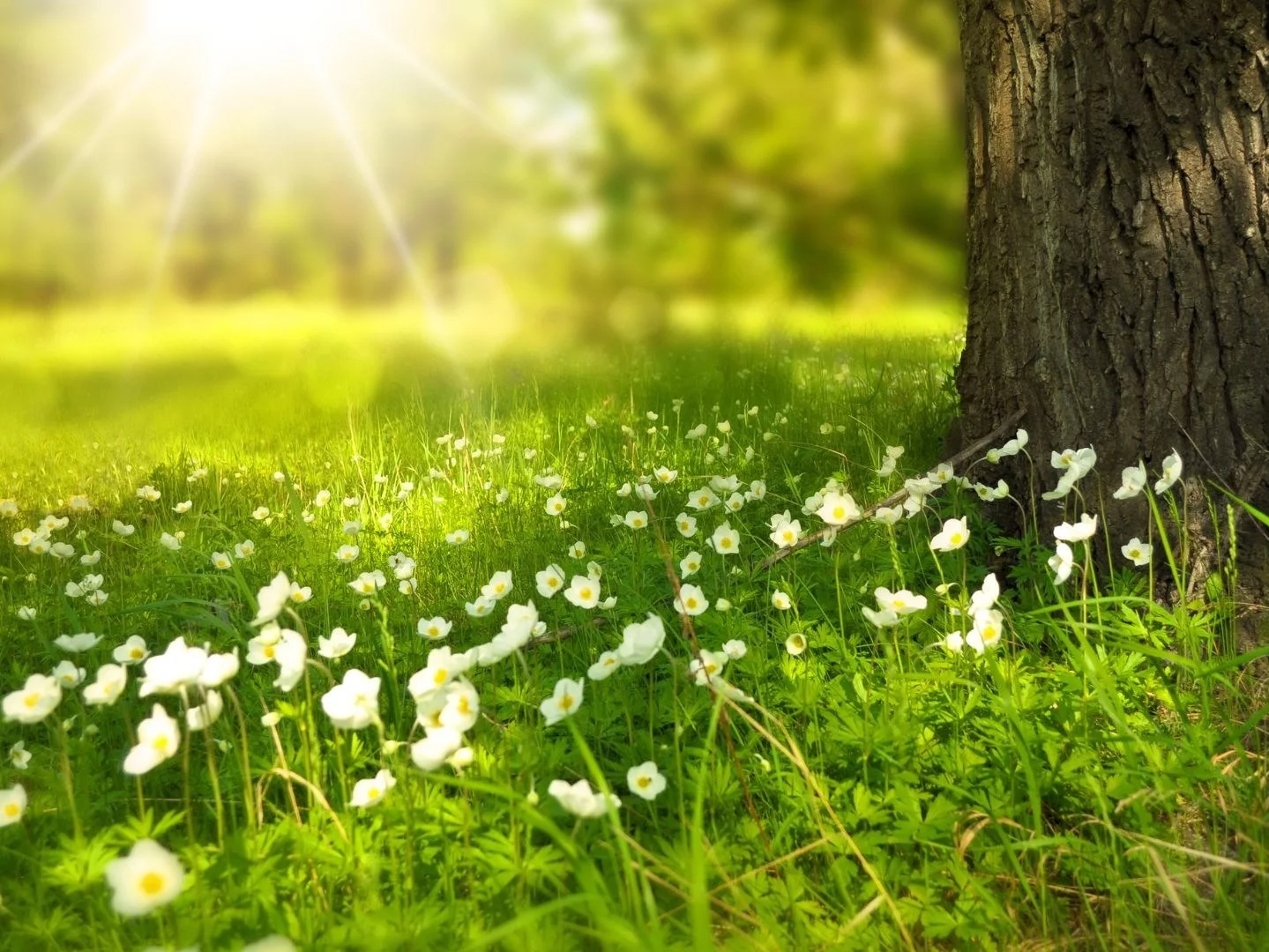 Polska w objęciach ciepła! IMGW zapowiada rekordy temperatury