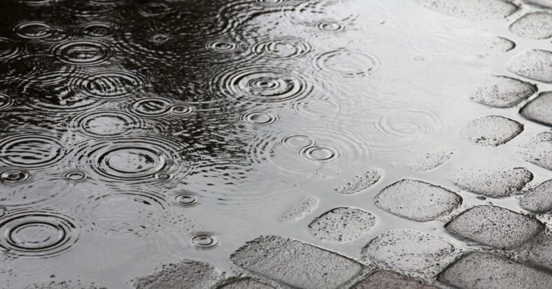 Warszawa – 11.03.2025. Prognoza pogody w mieście