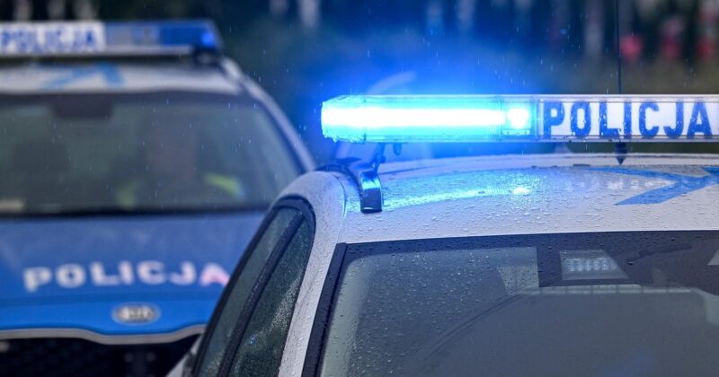 Szaleńczy rajd 25-letniego kierowcy. „130 punktów karnych”