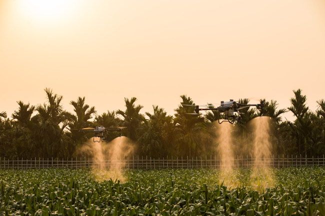 Zrównoważony rozwój rolnictwa precyzyjnego – wykorzystanie zaawansowanych technologii w monitorowaniu i zarządzaniu uprawami